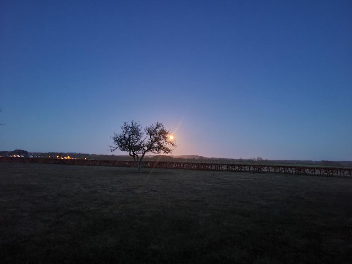 Stendalgaard B&B Sæby 外观 照片