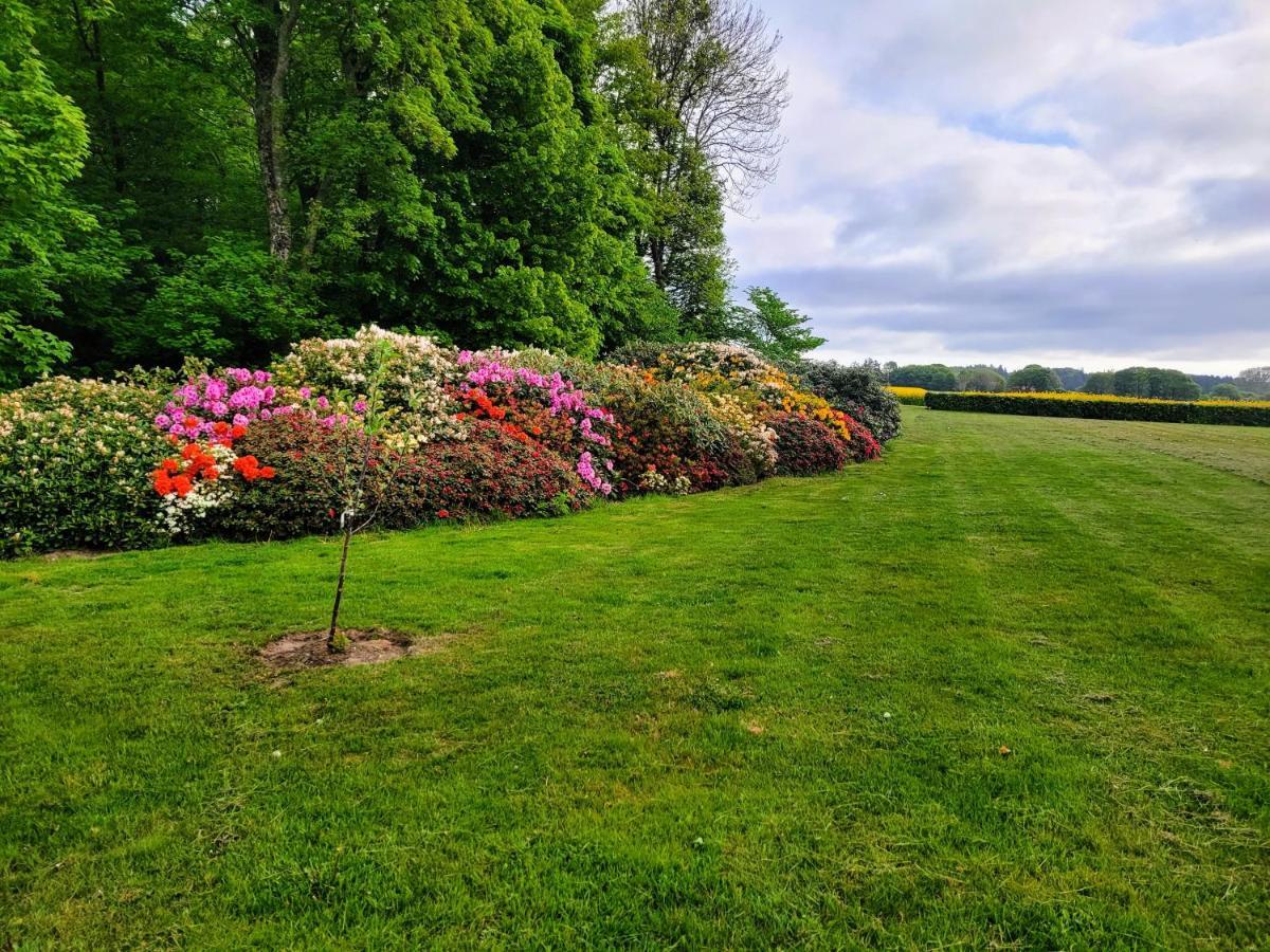 Stendalgaard B&B Sæby 外观 照片